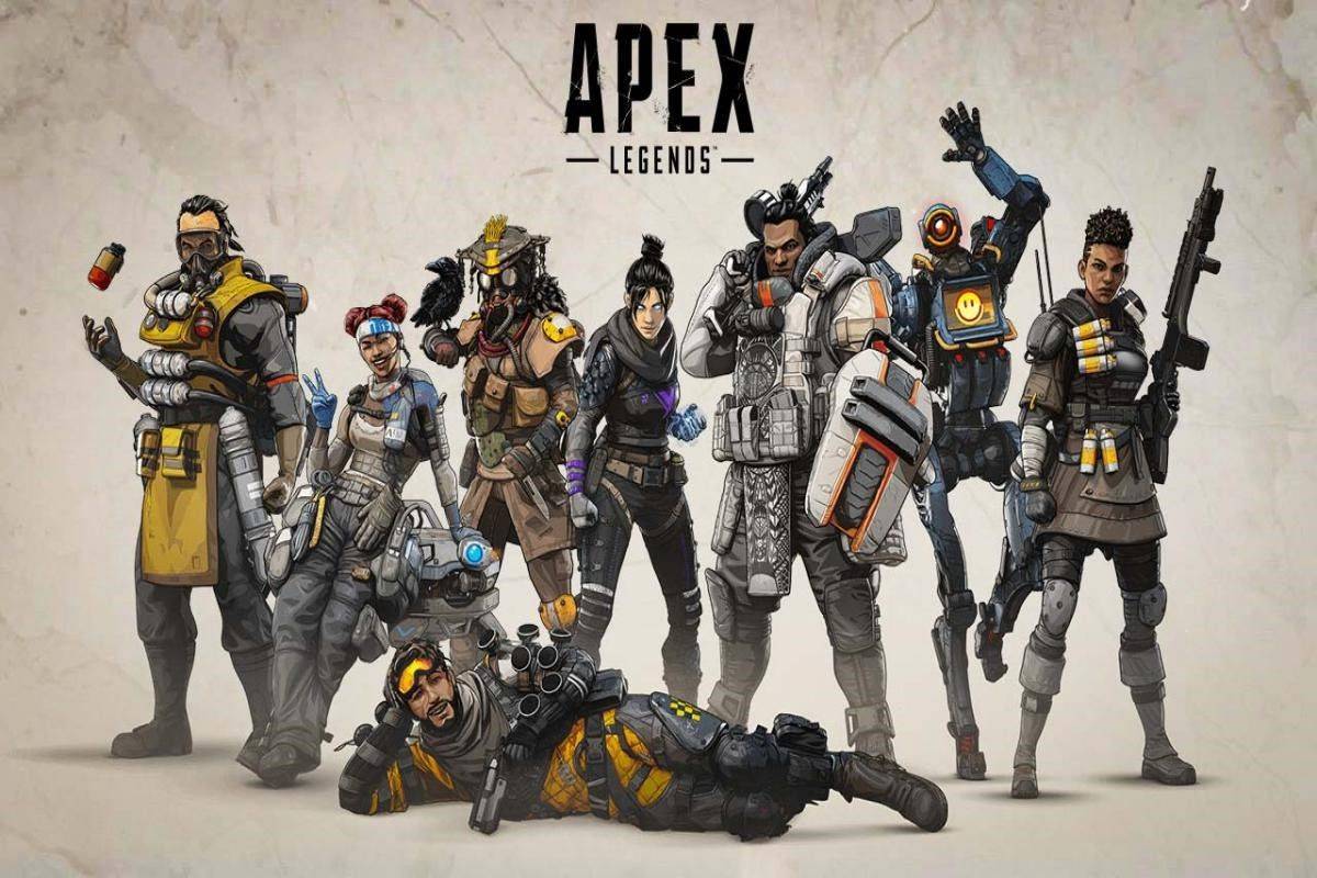 高性价比的 高性价比的